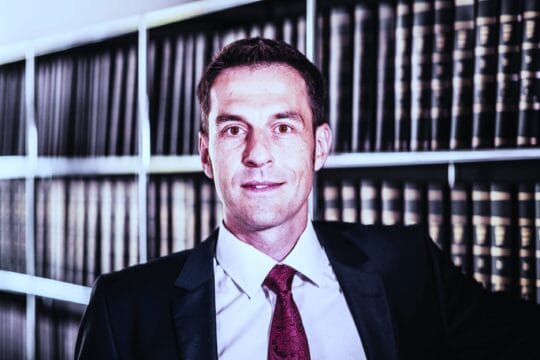 Rinder-Rendite: Abbildung