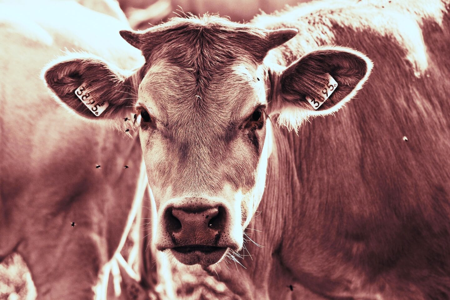 Wie Geld richtig anlegen 2025 Bild