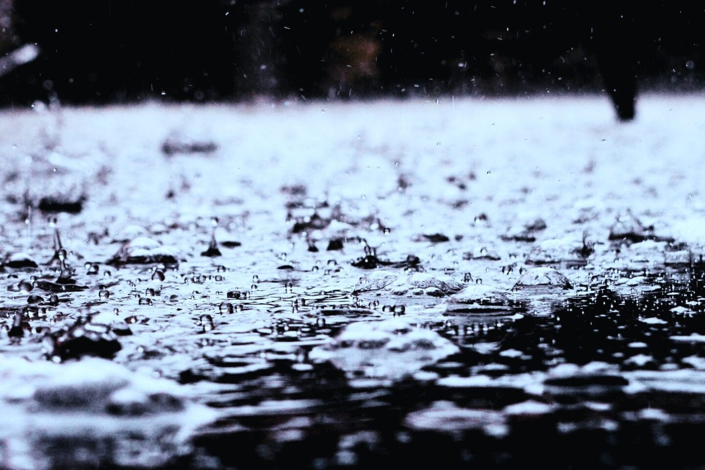 Der Geruch von Regen Darstellung