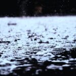 Der Geruch von Regen Darstellung