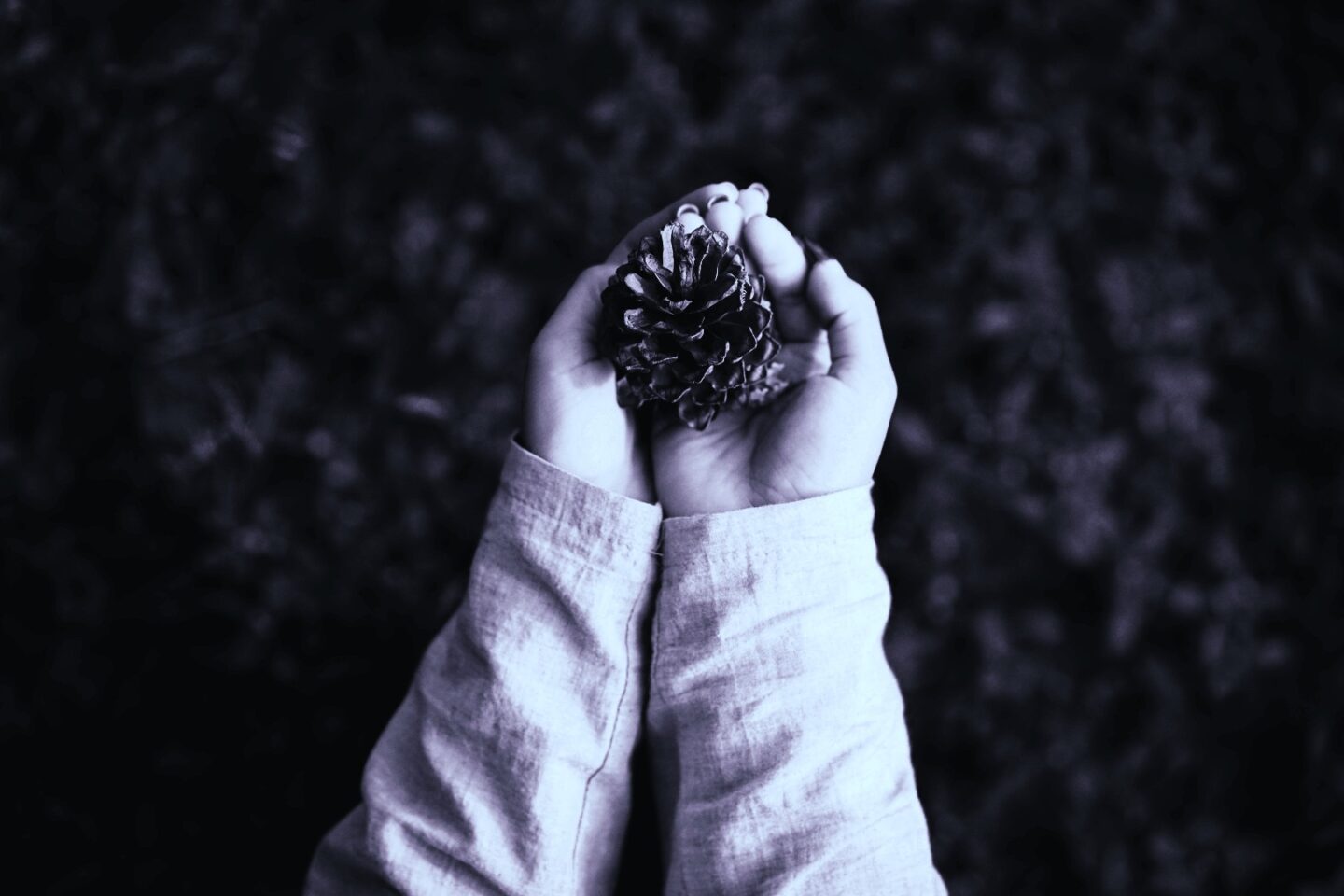 Doomsday Vault Abbildung