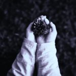 Doomsday Vault Abbildung