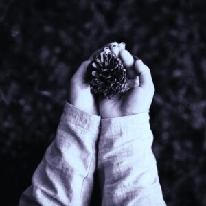 Doomsday Vault Abbildung