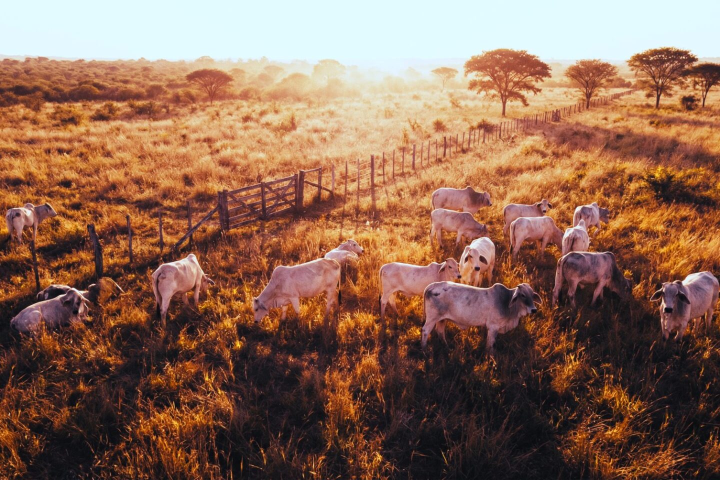 Investitionen Darstellung