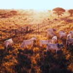 Investitionen Darstellung