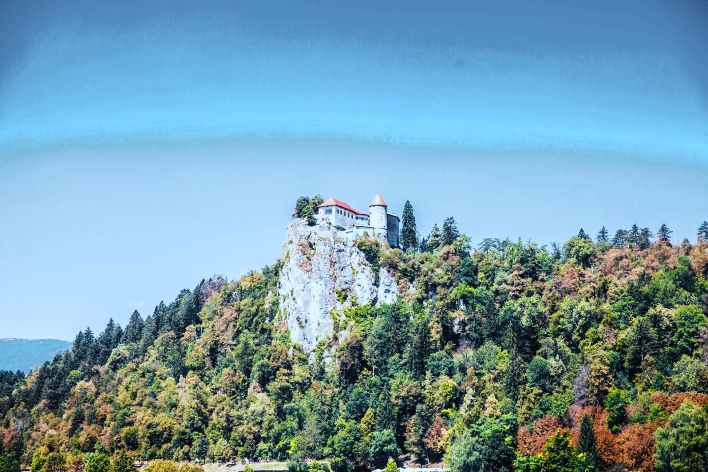 Liechtenstein-Stiftung: