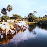 Rohstoff-Investment erklärt