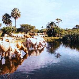 Rohstoff-Investment erklärt