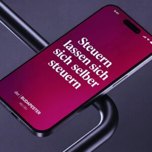 IFB Steuerproblem – Smartphone zeigt Steuerberatungsapp auf weinrotem Display mit Steuererklärung
